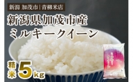 【令和5年産米】新潟県央地区 ミルキークイーン 精米5kg 白米 青柳米店