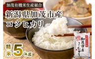 【令和5年産米】新潟県加茂市産コシヒカリ 精米5kg 白米 加茂有機米生産組合