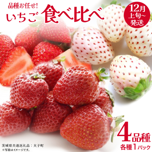 いちごの 食べ比べ 4品種×1パック【2025年12月上旬発送開始】(茨城県共通返礼品：大子町) いちご 苺 果物 フルーツ 果実 2326719 - 茨城県牛久市