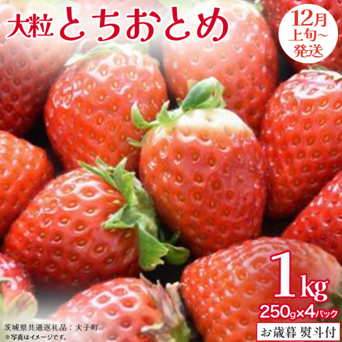 【 お歳暮 熨斗付き 】 とちおとめ 250g（8～12粒）×4パック【2025年12月上旬発送開始】(茨城県共通返礼品：大子町) いちご 苺 果物 フルーツ 果実 贈答用 ギフト 贈り物 2326841 - 茨城県牛久市