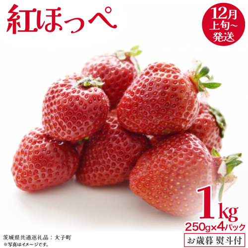 【 お歳暮 熨斗付き 】 紅ほっぺ 250g（8～12粒）×4パック【2025年12月上旬発送開始】(茨城県共通返礼品：大子町) いちご 苺 果物 フルーツ 果実 贈答用 ギフト 贈り物 2326843 - 茨城県牛久市
