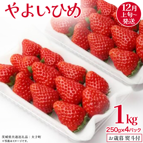 【 お歳暮 熨斗付き 】 やよいひめ 250g（8～12粒）×4パック【2025年12月上旬発送開始】(茨城県共通返礼品：大子町) いちご 苺 果物 フルーツ 果実 贈答用 ギフト 贈り物 2326845 - 茨城県牛久市