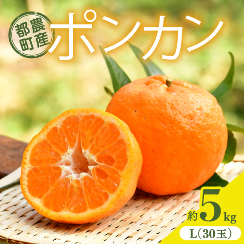 先行予約≪期間限定≫都農町産「ポンカン(Lサイズ)」 約5kg フルーツ 果物 柑橘 国産_T008-015 2326968 - 宮崎県都農町