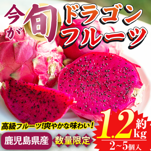 No.248 《数量・期間限定》鹿児島県産！ドラゴンフルーツ(約1.2kg・2個～5個) 国産 鹿児島 日置市 デザート 果物 フルーツ 栽培期間中 農薬不使用 贈り物 贈答品【はまうえ果樹園】 2326976 - 鹿児島県日置市