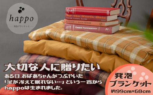 BN1　大切な人に贈りたい「 発泡ブランケット 」  【 ブランケット ひざ掛け 防寒 冷え性 冷え対策 軽量 軽い 発泡 ビーズ 電気 電源不要 ペット用品 犬 猫 プレゼント 贈りもの 敬老の日 母の日 父の日 誕生日  】 2326977 - 兵庫県宍粟市