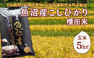 【令和7年産】農家直送の棚田米 魚沼産コシヒカリ 玄米5kg(5kg×1袋) 佐藤農場 | 新潟県産 コシヒカリ お米 米 おこめ こめ コメ こしひかり 玄米 魚沼産 ブランド米 人気 おすすめ 産地直送 【0018-0025-01】
