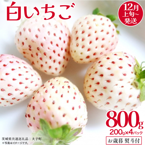 【 お歳暮 熨斗付き 】 白いちご 200g（8～12粒）×4パック【2026年12月上旬発送開始】(茨城県共通返礼品：大子町) いちご 苺 果物 フルーツ 果実 贈答用 ギフト 贈り物 2327249 - 茨城県牛久市