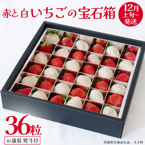 【 お歳暮 熨斗付き 】 赤いちご と 白いちご の宝石箱36粒 (茨城県共通返礼品：大子町) いちご 苺 果物 フルーツ 果実 贈答用 ギフト 贈り物 2327252 - 茨城県牛久市