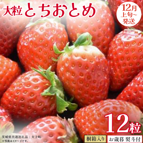 【 お歳暮 熨斗付き 】 桐箱入り 大粒 とちおとめ 12粒 (茨城県共通返礼品：大子町) いちご 苺 果物 フルーツ 果実 贈答用 ギフト 贈り物 2327253 - 茨城県牛久市