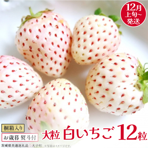 【 お歳暮 熨斗付き 】 桐箱入り 大粒 白いちご 12粒【2025年12月上旬発送開始】(茨城県共通返礼品：大子町) いちご 苺 果物 フルーツ 果実 贈答用 ギフト 贈り物 2327254 - 茨城県牛久市
