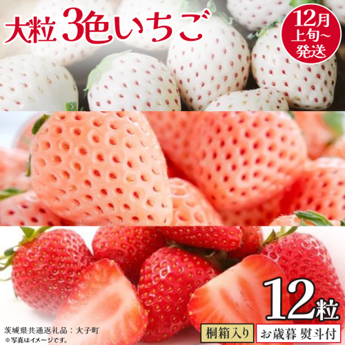 【 お歳暮 熨斗付き 】桐箱入り 大粒 3色いちご 12粒【2025年12月上旬発送開始】(茨城県共通返礼品：大子町) いちご 苺 果物 フルーツ 果実 贈答用 ギフト 贈り物 2327288 - 茨城県牛久市