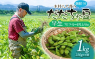 【令和8年産先行予約】 木村九八郎の朝採り！新鮮！だだちゃ豆 「早生」 1kg（250ｇ×4袋） 山形県鶴岡市産　K-829