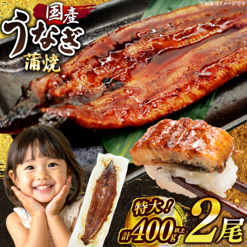 うなぎ 国産 鰻 蒲焼 特大 約200g 2尾 計400g以上 小分け 【有頭】[大黒物産 福岡県 宇美町 um40bak830011] タレ 山椒付 茶葉蒸し ウナギ 不揃い 規格外 鹿児島 宮崎 うなぎ蒲焼 鰻蒲焼き 蒲焼き かば焼き 真空パック 個包装 冷凍 unagi 2327610 - 福岡県宇美町