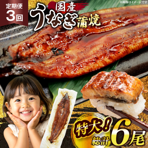 うなぎ 国産 定期便 鰻 蒲焼 特大 約200g 2尾 計400g以上 3回 総計約1.2kg 小分け 【有頭】[大黒物産 福岡県 宇美町 um40bak830018] タレ 山椒付 茶葉蒸し ウナギ 不揃い 規格外 鹿児島 宮崎 うなぎ蒲焼 鰻蒲焼き 蒲焼き かば焼き 真空パック 個包装 冷凍 unagi 2327611 - 福岡県宇美町