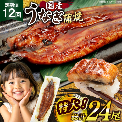 うなぎ 国産 定期便 鰻 蒲焼 特大 約200g 2尾 計400g以上 12回 総計約4.8kg 小分け 【有頭】[大黒物産 福岡県 宇美町 um40bak830020] タレ 山椒付 茶葉蒸し ウナギ 不揃い 規格外 鹿児島 宮崎 うなぎ蒲焼 鰻蒲焼き 蒲焼き かば焼き 真空パック 個包装 冷凍 unagi 2327617 - 福岡県宇美町