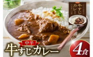 カレー セット 牛 すじ カレー 4食 セット 中辛 [カレー工房NVfoods 長崎県 平戸市 hr42bgy400034] カレー スパイス レトルト セット