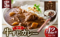 カレー セット 牛 すじ カレー 4食 セット 中辛 3回 定期便 [カレー工房NVfoods 長崎県 平戸市 hr42bgy400036] カレー スパイス レトルト セット