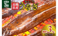 うなぎ 国産 蒲焼 長崎県産 おうごんうなぎ 松 セット 約1kg 6尾~8尾 3回 定期便 総計 約3kg [松永水産 長崎県 平戸市 hr42bgy400019] 鰻 うな重 うな丼 ひつまぶし 蒲焼き かばやき タレ付き 養殖 国内産 冷凍 unagi