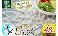 ふぐ 刺身 セット 活〆 おうごんとらふぐ 刺身セット 4人前 12回 定期便 [松永水産 長崎県 平戸市 hr42bgy400166] ふぐ刺し とらふぐ フグ 河豚 てっさ 魚介 さかな お刺身 刺身用 さしみ 冷凍 湯引き 海鮮 切り身