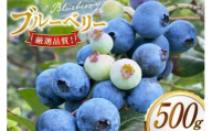 ブルーベリー 冷凍 250g 2パック 計 500g [いきつきブルーベリー園 moon berry's kitchen 長崎県 平戸市 hr42bhb500000] 完熟 デザート スイーツ スムージー 小分け