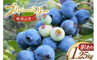 ブルーベリー 訳あり 冷凍 250g 5パック 計 1.25kg [いきつきブルーベリー園 moon berry's kitchen 長崎県 平戸市 hr42bhb500001] 完熟 デザート スイーツ スムージー 小分け 訳アリ
