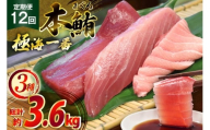 マグロ 切り身 極海一番 3種 セット 300g 12回 定期便 総計3.6kg 詰め合わせ 食べ比べ [囲炉裏料理エビス亭 長崎県 平戸市 hr42bgy390026] まぐろ 刺身 料亭 赤身 中とろ 大トロ 柵 おつまみ 冷凍 高級 寿司 すし