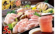 刺身 盛り合わせ 旬の天然魚の刺身盛り 5種 2～3人前 セット 食べ比べ 詰め合わせ [囲炉裏料理エビス亭 長崎県 平戸市 hr42bgy390029] さしみ 厳選 マダイ 真鯛 本マグロ 天然 まぐろ 鮪 冷凍 寿司 すし