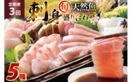 刺身 盛り合わせ 旬の天然魚の刺身盛り 5種 2～3人前 3回 定期便 総計6～9人前 セット 食べ比べ 詰め合わせ [囲炉裏料理エビス亭 長崎県 平戸市 hr42bgy390045] さしみ 厳選 マダイ 真鯛 本マグロ 天然 まぐろ 鮪 冷凍 寿司 すし