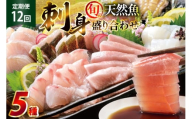 刺身 盛り合わせ 旬の天然魚の刺身盛り 5種 2～3人前 12回 定期便 総計24～36人前 食べ比べ セット [囲炉裏料理エビス亭 長崎県 平戸市 hr42bgy390053] さしみ 厳選 マダイ 真鯛 本マグロ 天然 まぐろ 鮪 冷凍 寿司 すし