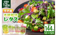 レタス 水耕栽培 4種 12袋 セット 12回 定期便 総計144袋 食べ比べ 詰め合わせ [モロフジファーム 長崎県 平戸市 hr42bgy420175] サラダ 産地直送 個包装 小分け 野菜 フレッシュ 健康志向 緑黄色野菜