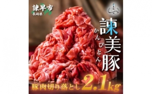 便利な小分けパック！長崎のブランド豚 諫美豚(かんびとん)切り落とし300g×7パック 2.1kg　野菜炒め　肉じゃが　豚汁　焼きそば　豚肉