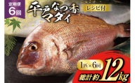 タイ 刺身 平戸なつ香 鯛 丸々 1匹 約2kg 6回 定期便 総計 約12kg [（株）坂野水産 長崎県 平戸市 hr42bgy420441] 魚介 さかな 刺身用 さしみ 冷蔵 おかず フルーツ魚  夏香 鮮魚 海鮮 鍋 海鮮丼 切り身 鍋 tai
