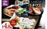 うちわえび エビ 海老 刺身 しゃぶしゃぶ 海鮮 6回 定期便 ウチワエビ刺身 約400g・ウチワエビ半身 約400g セット 総計4.8kg [ひばり 長崎県 平戸市 hr42bgy420357] 鍋 魚介 海産物 刺し身 冷凍 新鮮 国産 お取り寄せ