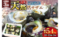 サザエ つぼ焼き 天然 活サザエ 1.8kg 3回 定期便 計 5.4kg [ひらど新鮮市場 長崎県 平戸市 hr42bgy400126] さざえ 希少 貝 魚介 魚介類 海鮮 海産物 刺身 壺焼き バーベキュー BBQ 国産 定期 3ヶ月