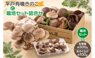 きのこ しいたけ きくらげ 椎茸菌床 生椎茸 生きくらげ セット [きのこ屋 長崎県 平戸市 hr42bgy410092] 有機 有機JAS 有機栽培 有機きのこ 有機しいたけ 栽培キット 栽培セット ギフト セット