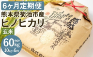 【通常パッケージ】【定期便6ヶ月】令和7年産 七城物語 高野さんちの 自然栽培米 （玄米） 10kg （2.5kg×4パック）  合計60kg お米 米 玄米 ヒノヒカリ