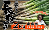 岩手県産 極楽野 土付き 長ねぎ 2kg 目安本数 約 20本 家庭用 【高橋農園】／ 長ネギ 長葱 ねぎ ネギ 葱 白ねぎ 白ネギ 白葱 新鮮 野菜 やさい 人気野菜 国産 EM栽培 産地直送 農家直送 季節限定 期間限定 人気 薬味 鍋 串焼き おすすめ