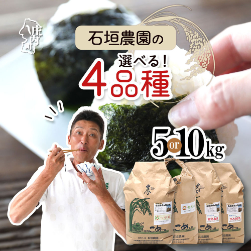 石垣農園の特別栽培米 選べる品種 内容量 つや姫 はえぬき ひとめぼれ 雪若丸 5kg / 10kg 令和7年産 2025年産 ブランド米 山形県コシヒカリの原点、亀の尾発祥の地 庄内 2328606 - 山形県庄内町