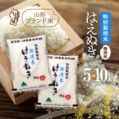 庄内町産 特別栽培米はえぬき無洗米 選べる内容量！5kg or 10kg 令和7年産 2025年産 ブランド米 米 国産 単一原料米 山形 庄内平野 コシヒカリの原点、亀の尾発祥の地 庄内 2329226 - 山形県庄内町