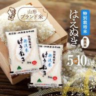 庄内町産 特別栽培米はえぬき無洗米 選べる内容量！5kg or 10kg 令和7年産 2025年産 ブランド米 米 国産 単一原料米 山形 庄内平野 コシヒカリの原点、亀の尾発祥の地 庄内