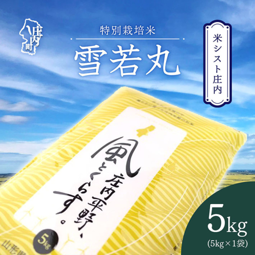 米シスト庄内 庄内平野、風と暮らす 雪若丸 5kg 特別栽培米 令和7年産 2025年産 ブランド米 コシヒカリの原点、亀の尾発祥の地 庄内 2329234 - 山形県庄内町