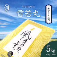 米シスト庄内 庄内平野、風と暮らす 雪若丸 5kg 特別栽培米 令和7年産 2025年産 ブランド米 コシヒカリの原点、亀の尾発祥の地 庄内