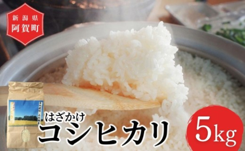 米 5kg 新潟県阿賀町産 コシヒカリ はざかけ 天日干し 令和7年産 精米 5キロ 白米 新潟県産コシヒカリ 新潟県産こしひかり 新潟県産 コシヒカリ こしひかり ごはん ご飯 新潟県 阿賀町 2329241 - 新潟県阿賀町