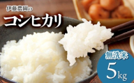 【令和7年産】【新米】コシヒカリ　無洗米5kg　伊藤農園