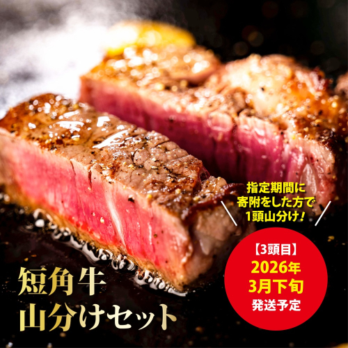 【山形村短角牛消費拡大応援企画品】山形村短角牛まるまる1頭山分けセット（３月お届け分） 2329375 - 岩手県久慈市