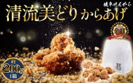 【湯煎でからあげ】岐阜せんから清流美どりからあげ　5個【約200g】 [No.1128] ／ カラアゲ 唐揚げ ブランド鶏 モモ肉 からあげグランプリ 最高金賞 サクサク 煎餅粉 煎餅衣 ジューシー 新感覚 そうざい 惣菜 おかず おつまみ 晩ごはん 夕食 夜食 ゆせん 手軽 時短 岐阜県