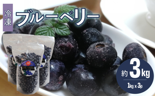 ＜発送まで最大で４～６ヶ月程度お待たせする事があります（申込状況により遅れる場合があります）＞【ブルーベリー（冷凍）3kg】高知県 佐川町 果物 フルーツ 国産 冷凍ブルーベリー 常備果物　 2329595 - 高知県佐川町