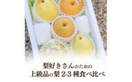 ＜きよとうファーム＞梨好きのための、梨2-3種 食べ比べ 上級品 5-7玉(岡山県産)【1559796】