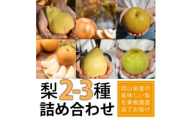 ＜きよとうファーム＞梨好きのための、梨2-3食べ比べ ご家庭用 5-7玉(岡山県産)【1559803】
