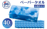 ペーパータオル ライズライト 200枚×40パック 小判サイズ 無香料 再生紙100％ 衛生用紙 防災 備蓄 日用品 生活用品 生活必需品 消耗品 富士市 [sf112-004]